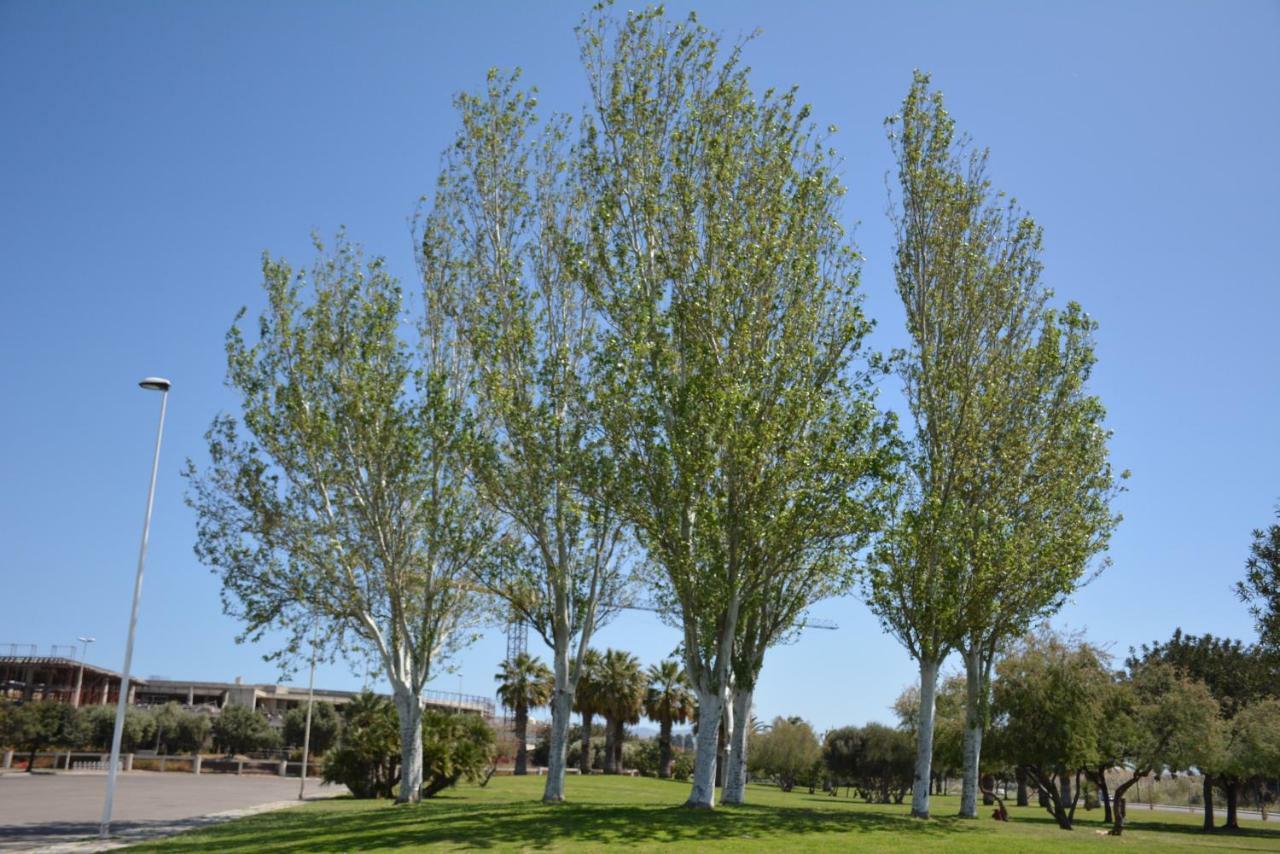 مبيت وإفطار كوارتو سانتيلينا Giardini E Mare المظهر الخارجي الصورة