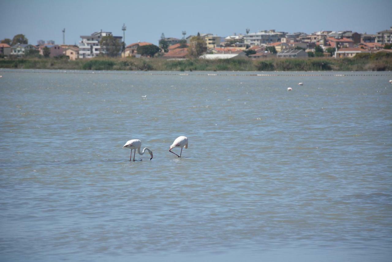 مبيت وإفطار كوارتو سانتيلينا Giardini E Mare المظهر الخارجي الصورة